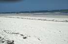 Land at Bofa Beach - 15