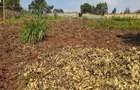 Land at Limuru Road - 5