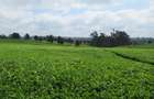 Land at Kiambu Rd - 1