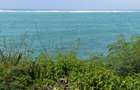 Land at Tiwi - 1