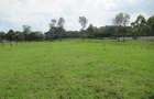 Residential Land at Ololua Ridge - 2