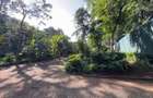 0.5 ac Land in Rhapta Road - 7