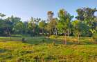 Land in Mtwapa - 12
