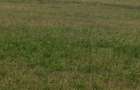 0.125 ac Residential Land at Kitengela Milimani - 8