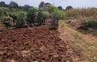 10 ac Land at Kirawa Road - 5