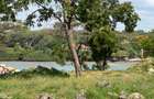 7 ac Commercial Land at Shanzu Beach - Overlooking Mtwapa Creek - 2