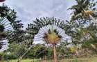 26 ac Land in Karen - 3