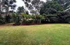 6 Bed House with Staff Quarters at Mzima Springs - 19