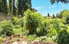 Land at Diani Beach Rd - 7