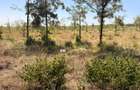 0.50 ac Commercial Property at Ruiru-Githunguri Road - 7