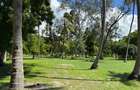 3.9 ac Land at Kikambala Beach - 8