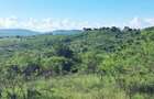 Land at Kwale - 11