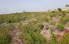 8 ac Commercial Land at Jacaranda - 7