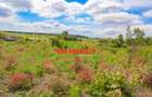 0.05 ha Residential Land at Ondiri - 6