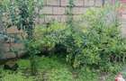 4 Bed House with En Suite at Matasia - 4