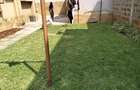 5 Bed Townhouse with En Suite in Lavington - 3