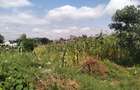 0.5 ac Land in Kitisuru - 1