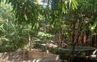 10 Bed House with Garden at Mwea - 3