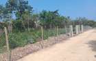 Land at Diani - 10