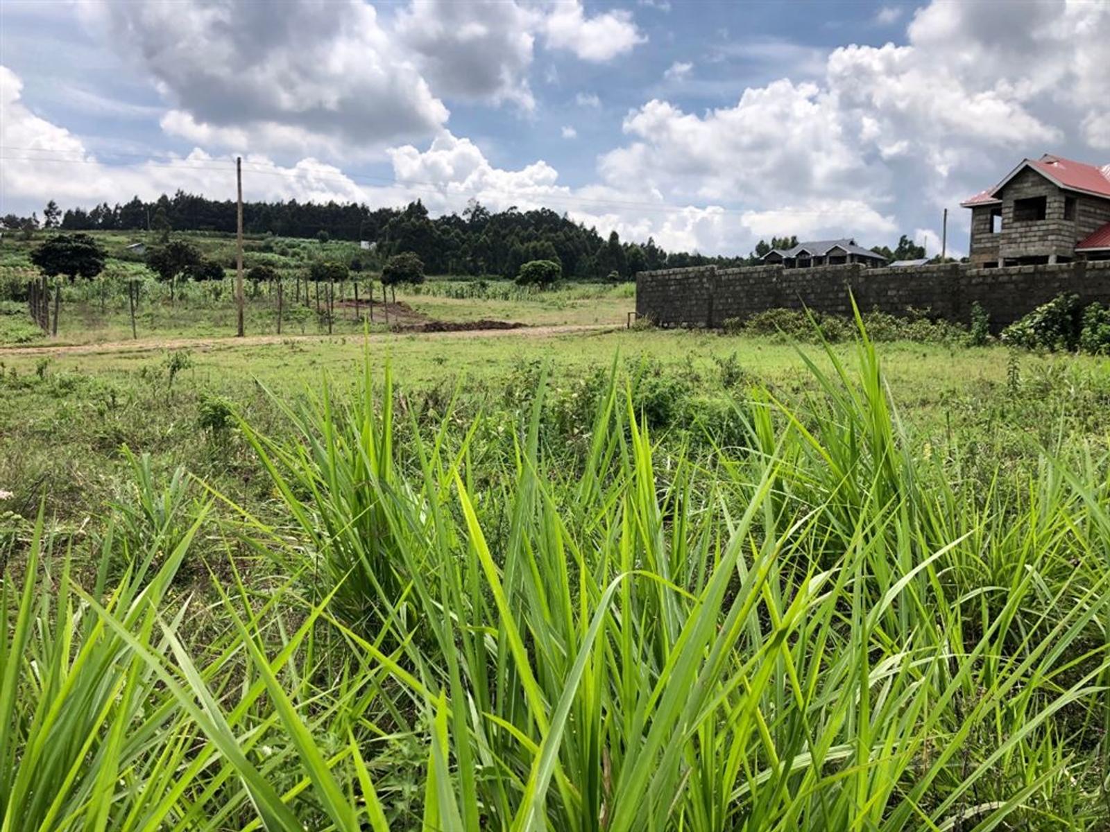 Land for Sale in Kikuyu Town for KES 2,800,000 BuyRentKenya
