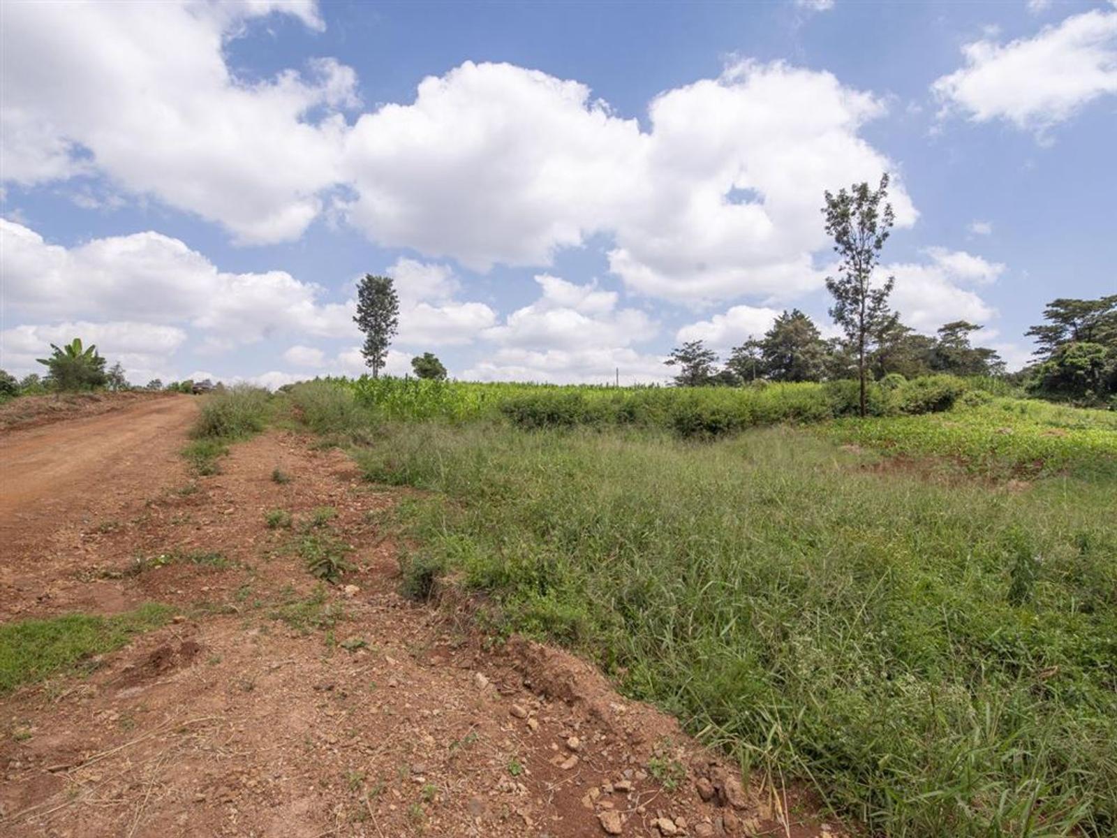Residential Land for Sale in Kiambu Town for KES 18,000,000 BuyRentKenya