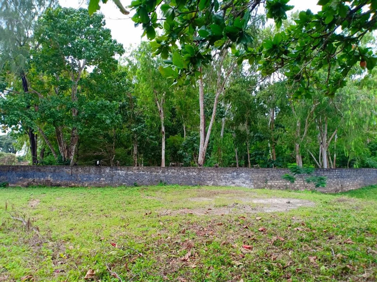 Land for Sale in Diani for KES 180,000,000 BuyRentKenya