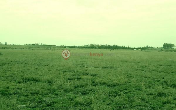 d8ff043965ff4b11782c988cde21590d