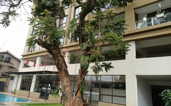 4bd899f9-41ef-4eb5-b7e3-9270b2a99950
