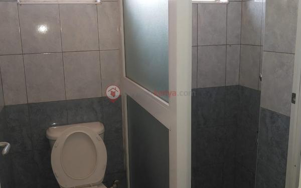 adfe21e5-02e1-453c-9204-4cf145ecb1cb
