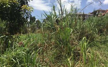 Land in Thindigua