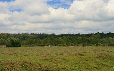 5,000 ft² Land in Eldoret