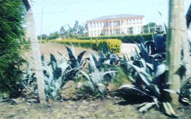 Residential land for sale in Kiserian