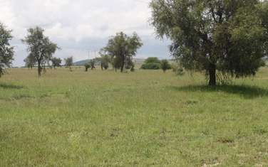40,470 m² Commercial Land in Athi River