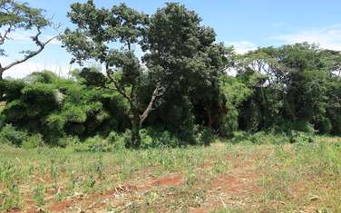Land at Gatanga Road