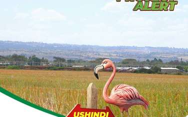 0.5 ac Commercial Land in Gilgil