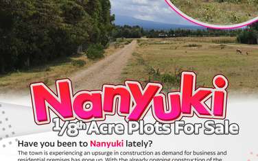 0.125 ac land for sale in Nanyuki