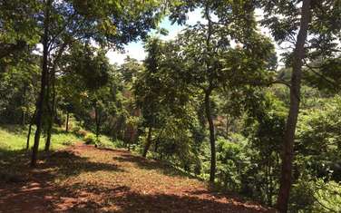 4,047 m² Residential Land in Kitisuru