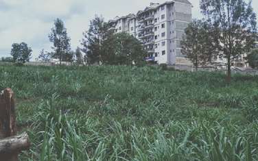 Land at Thindigua