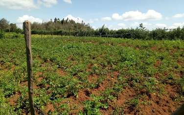 5,000 ft² Residential Land at Lari