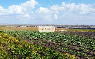 Commercial Land in Kisaju