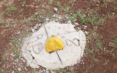 Residential Land in Juja