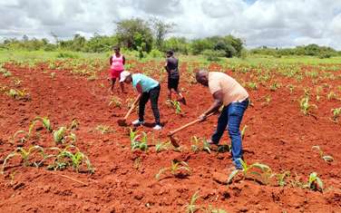 1 ac Land at Nyeri Highway