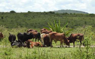 3,238 m² Residential Land in Athi River