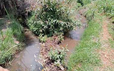 3.5 ac Land in Karen