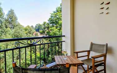 Furnished 2 Bed Apartment with Balcony in Rosslyn