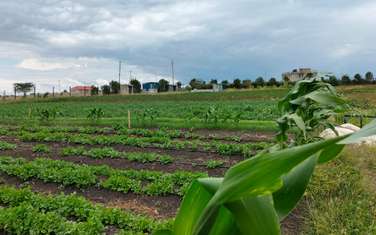  11 ac land for sale in Kitengela