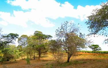 1 ac Residential Land in Ruiru