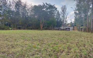 Land for sale in Nyeri