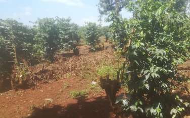 550 ac Land at Kiambu County