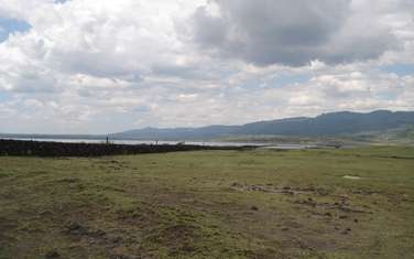 Land at Lake Elementaita